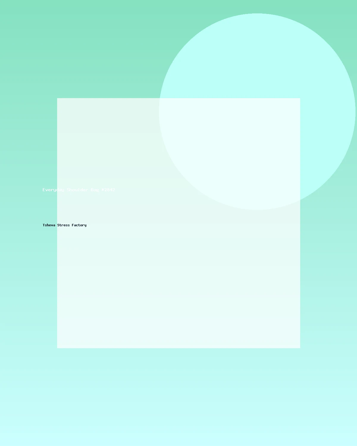 حقيبة كتف عملية #2842